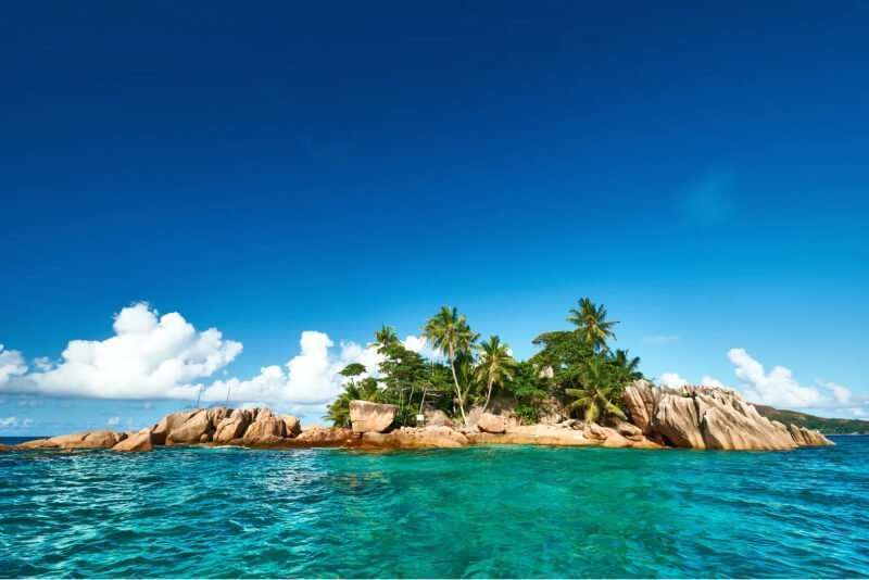 I Survived 93 Days on a Desert Island with Only My Wits and an Endless Supply of Lindt Excellence Dark 90% Cocoa