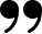 vector 31