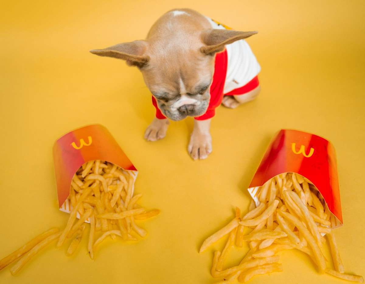 From Fries to Personality: What Your Brand Choice Says About You