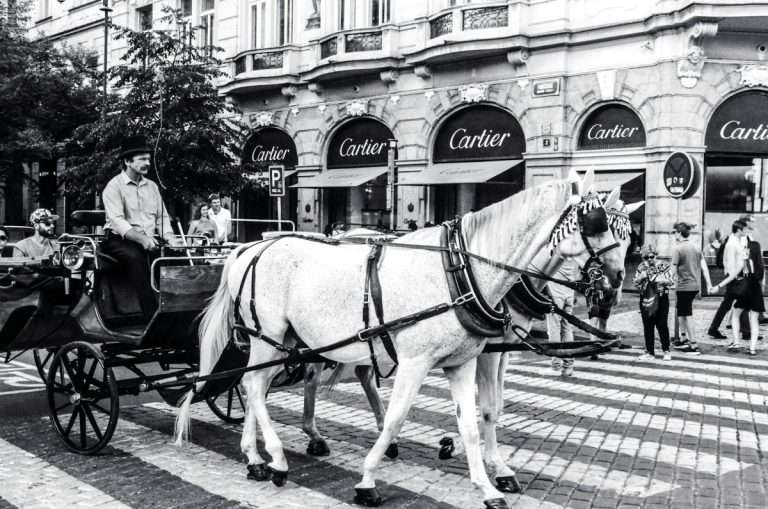horse and cart in front of a Cartier store