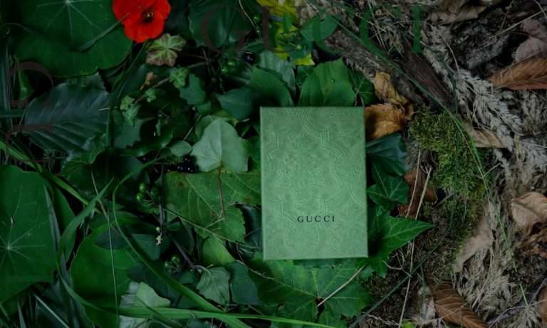 Green Gucci shoe box on a bed of leaves
